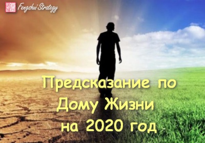 Курс  "Предсказание по Дому Жизни на 2020 год"	