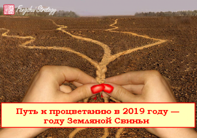 Путь к процветанию в 2019 году — году Земляной Свиньи