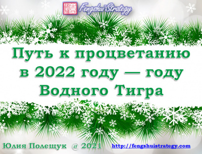 Курс "Путь к процветанию в 2022 году — году Водного Тигра"