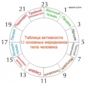 Органы и их соответствие часам