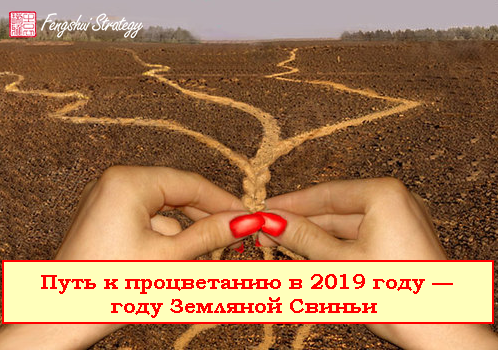 Путь к процветанию в 2019 году — году Земляной Свиньи	